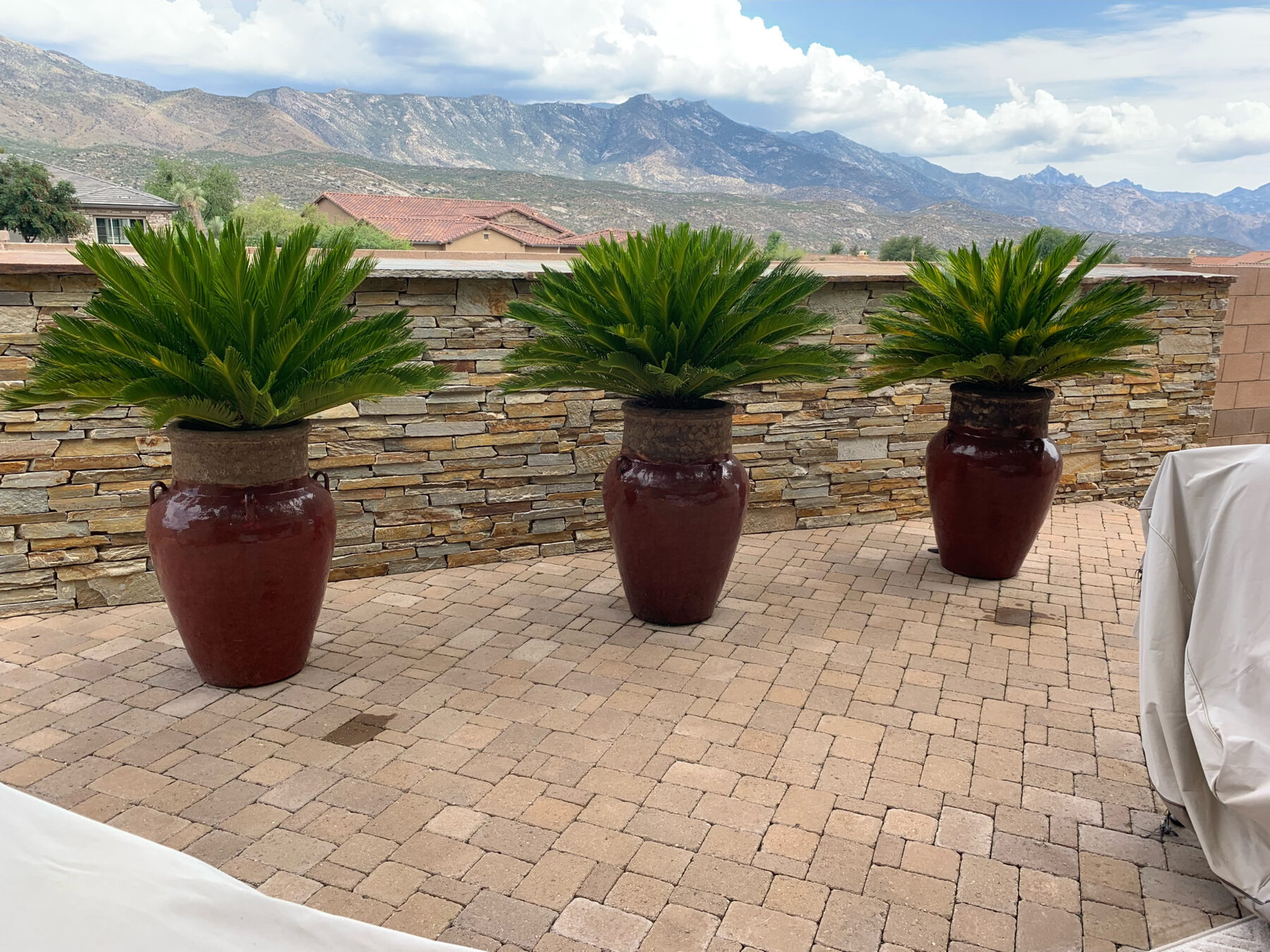 Paver entry beside a stacked stone wall and coordinated desert planters